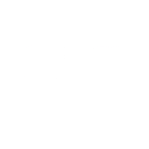 GRUPO SCS
